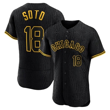 Geovany Soto Men's Authentic Chicago White Sox Black Snake Skin City Jersey