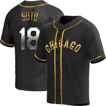 Geovany Soto Men's Replica Chicago White Sox Black Golden Alternate Jersey